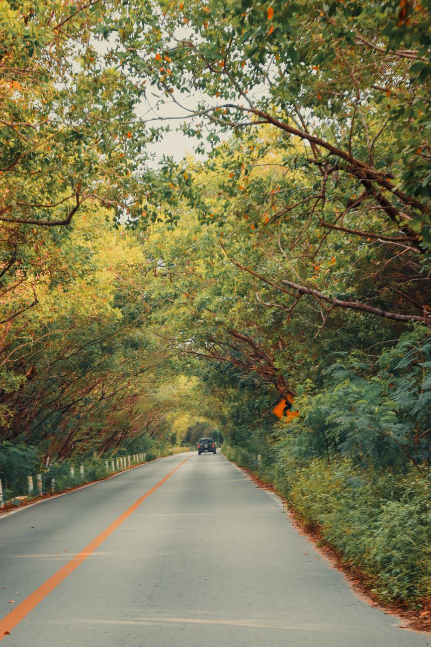 Cancún to Valladolid Highway 180D